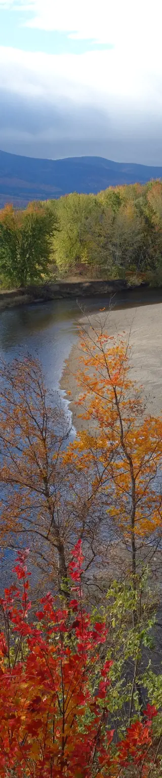 Entdecke die White Mountains in ihrer natürlichen Pracht